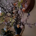Trattoria Bar Pace 3*