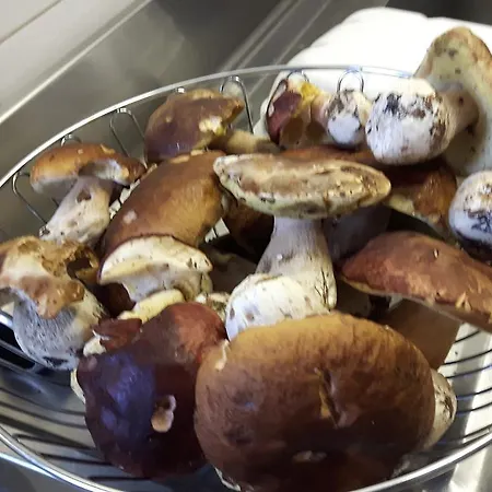 Trattoria Bar Pace Vendégház