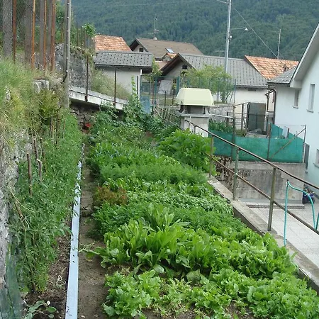 Trattoria Bar Pace Re