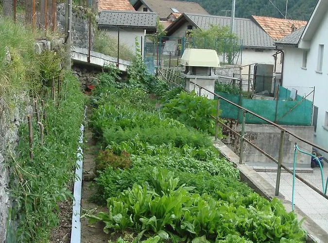 Trattoria Bar Pace Re