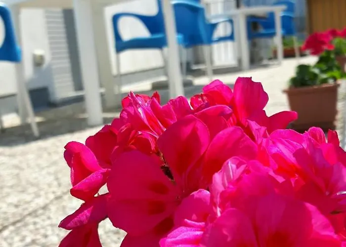 Affittacamere Trattoria Bar Pace Re